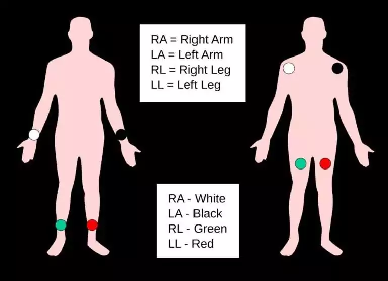Что такое ведущее поколение?